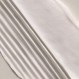 Davines OI Conditioner Smoothing for Normal Hair + All Hair Types Softens + Restores Chemically Treated Hair, 2.5 Ounce