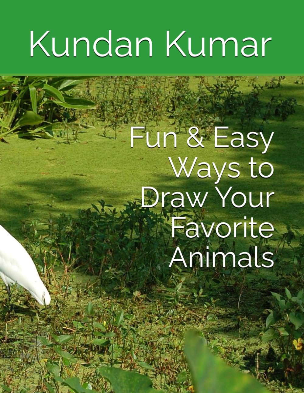 Fun & Easy Ways to Draw Your Favorite Animals