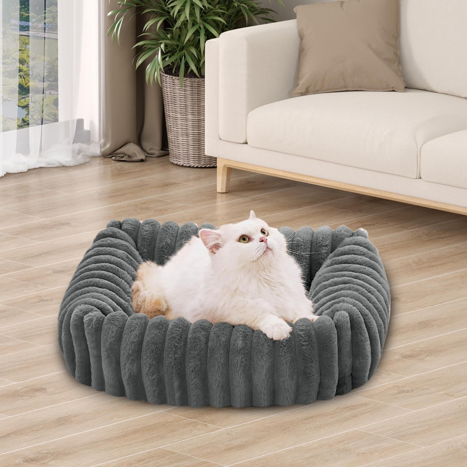 Sofá Cama para Gatos Sofá Mascota Cojín Mascota Colchoneta Cachorro | Cama Exterior Lavable Y Extraíble Para Gatos Hogar Balcón Salón Dormitorio Exterior