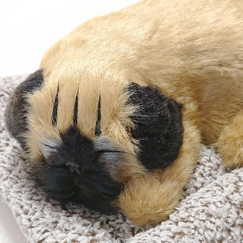 クリスマスツリー特価 Tatotte 犬のぬいぐるみ リアル 置物 寝顔が可愛いわんこ 活性炭入り 癒し インテリア パグ Svchc Org