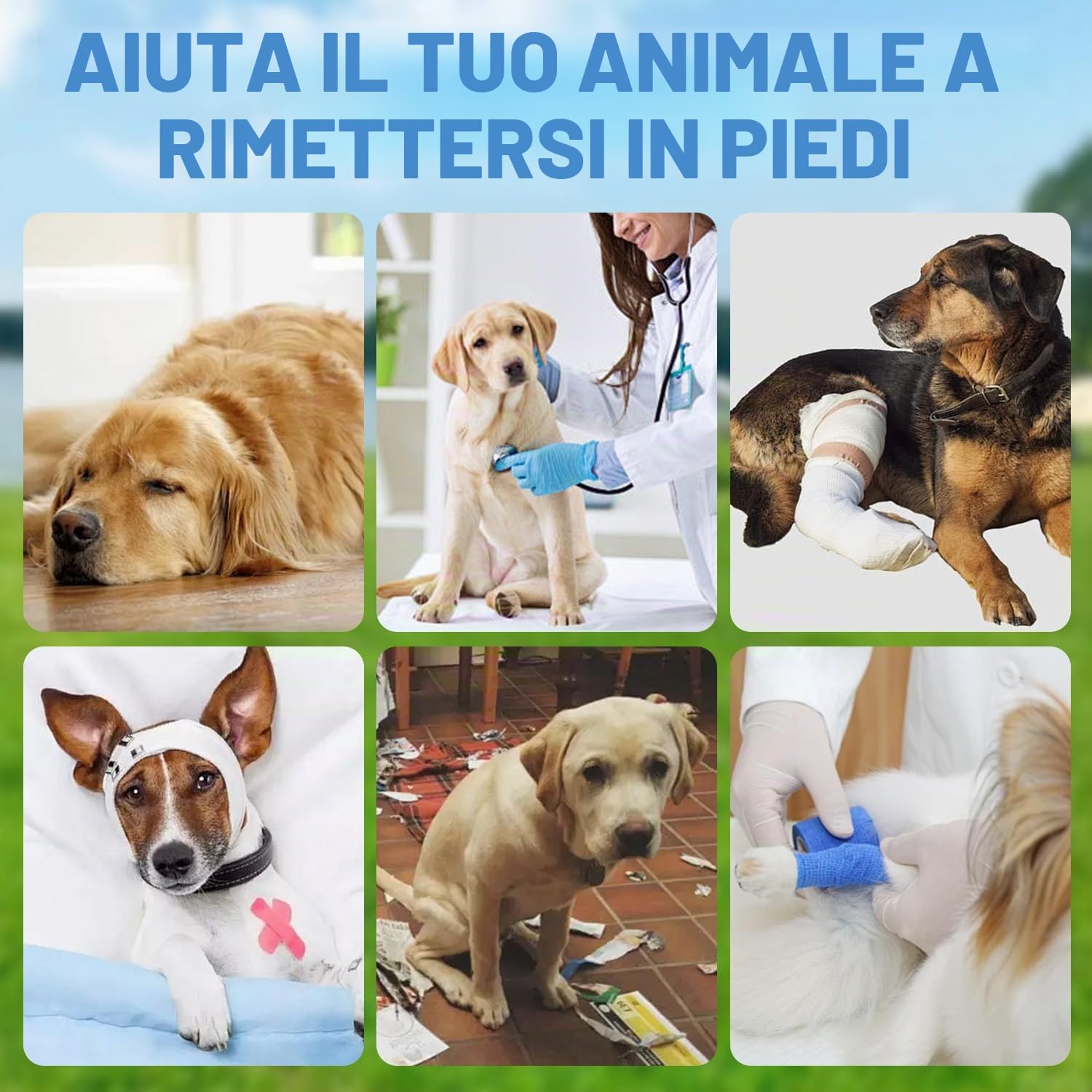 Sedia a rotelle per cani, piccola sedia a rotelle per cani e gatti, per animali domestici, supporta la guarigione, carrello per cani e sedia a rotelle per feriti e debolezza delle zampe posteriori