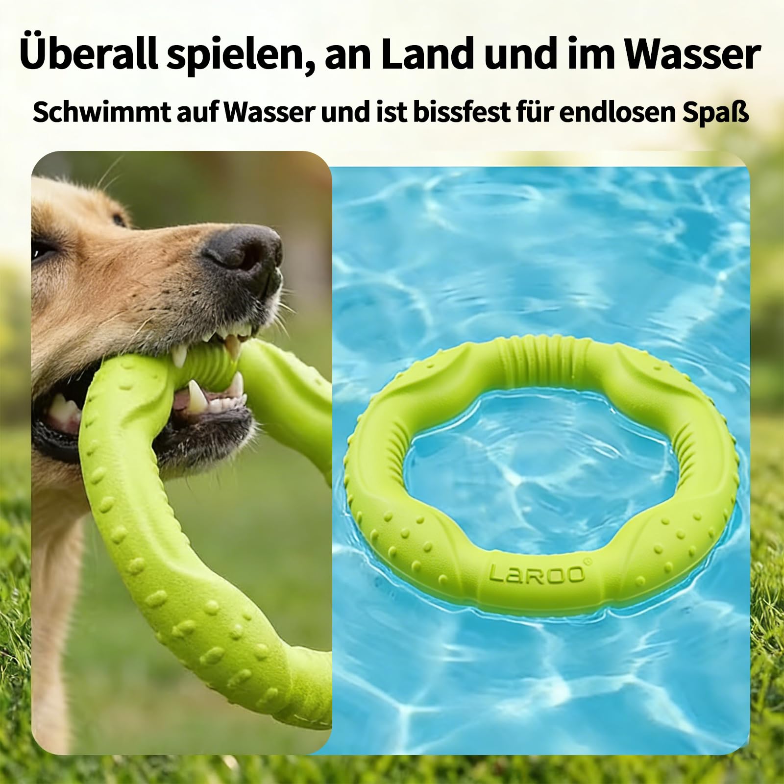 LaRoo Jouet pour Chien Dog Disc, Disque de Lancer Durable pour Chiens forts pour Petits, Moyens et Grands Chiens, Sport, Exercice, Activité et Jeux de Plein air (Vert, Grand-30CM)
