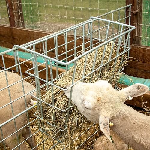 Premier 1 X-Tuff Single Sided Hay Feeder