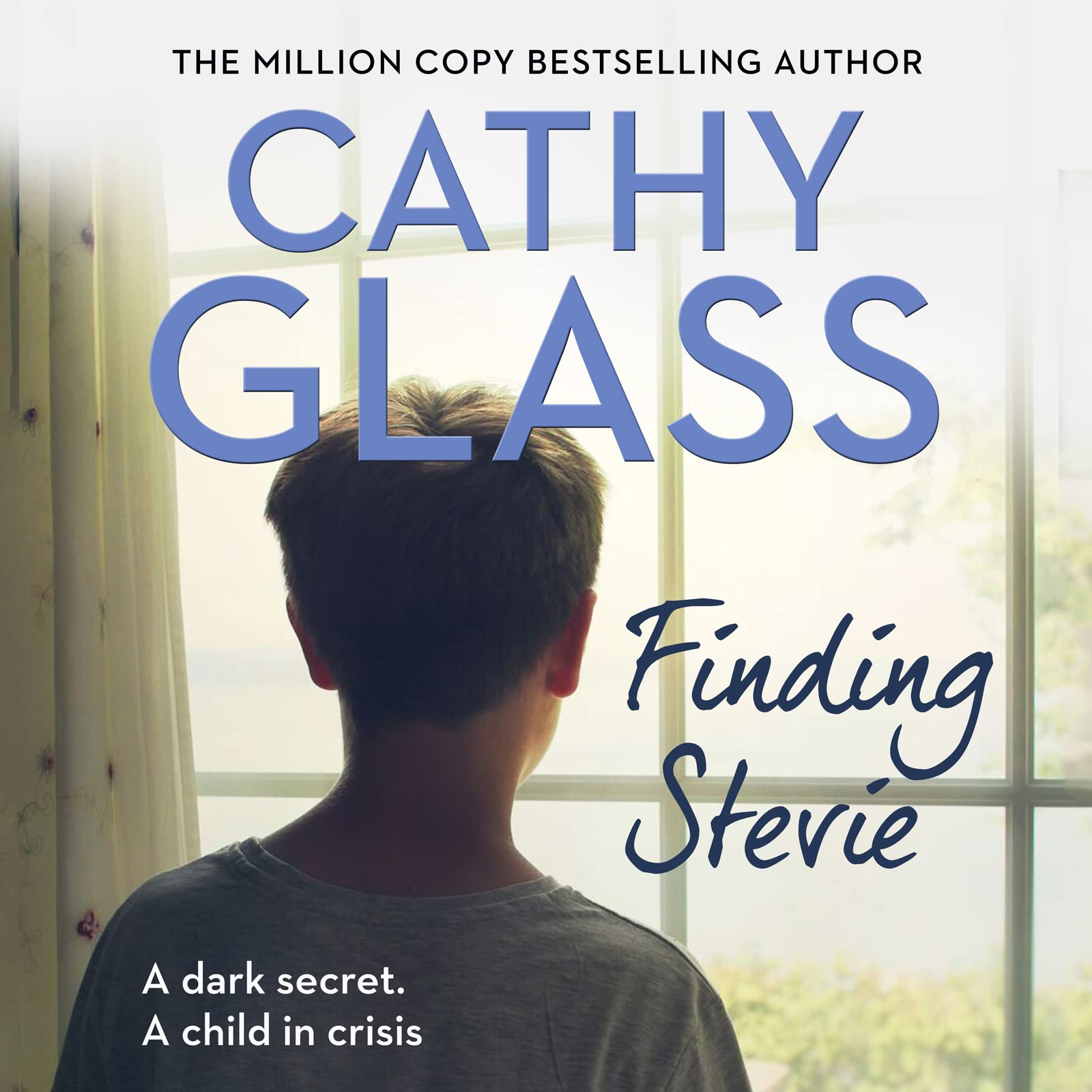 Cover art for Finding Stevie