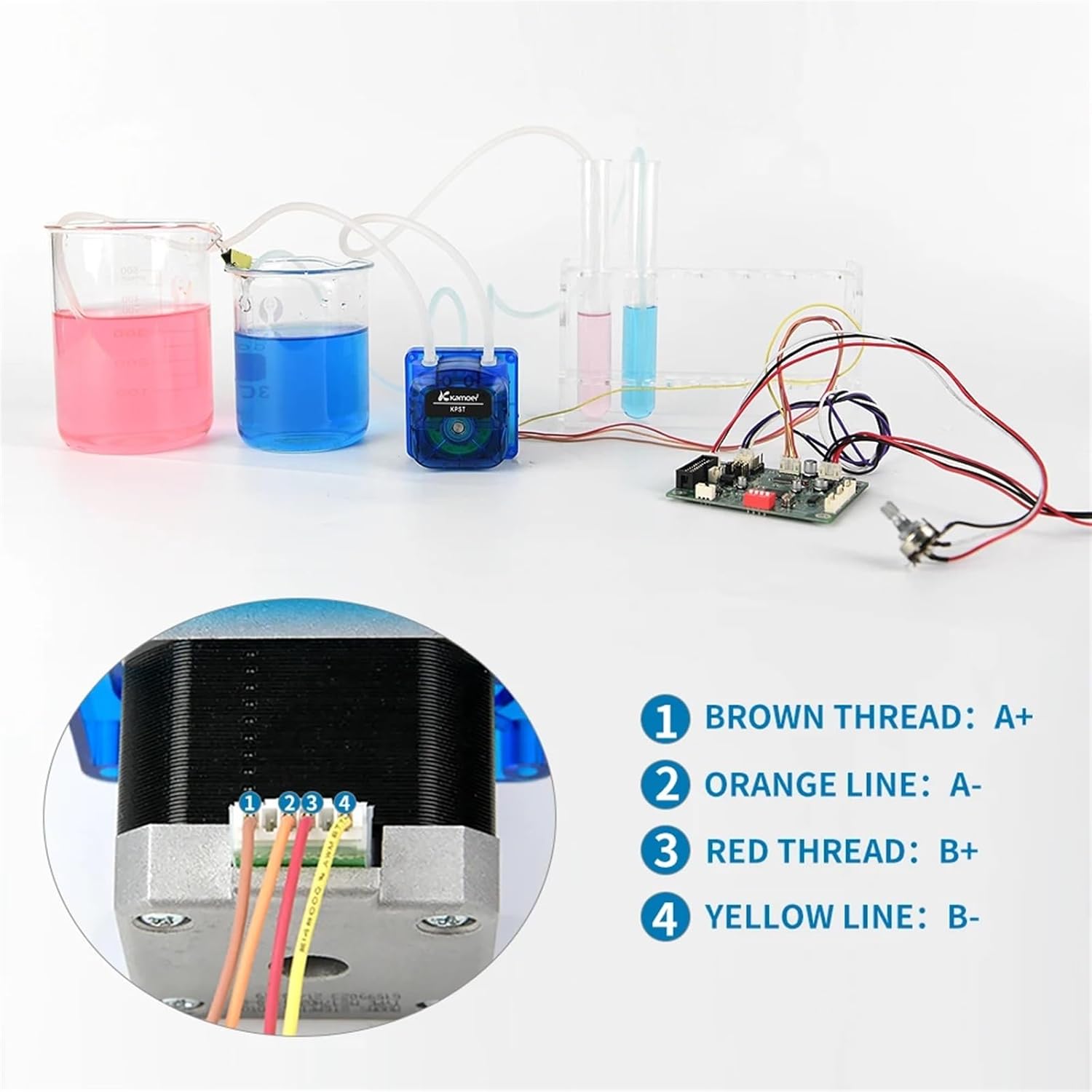 1PCS 30-65ml/min KPST Peristaltic Pump 24V Stepper Motor Single/Double Tubing Easy to Replace Norprene Tubing Dosing Pump(Kpst-n14-b)