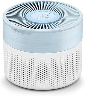 Purificador de ar Rowenta Pure Air Mini