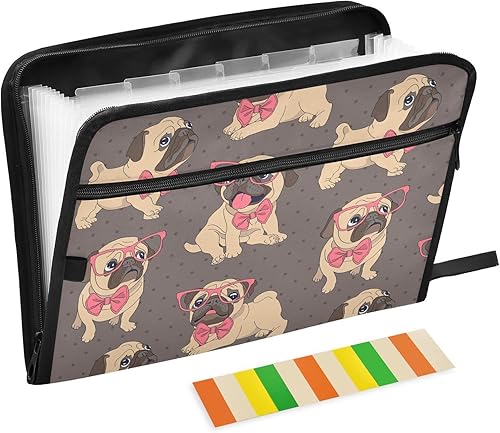 Doodle Dogs Faces Expanding File Folder for Documents A4 Letter Size Accordion File Organizer with Tabs 13 Pockets for Filing Cabinet Receipt Desk