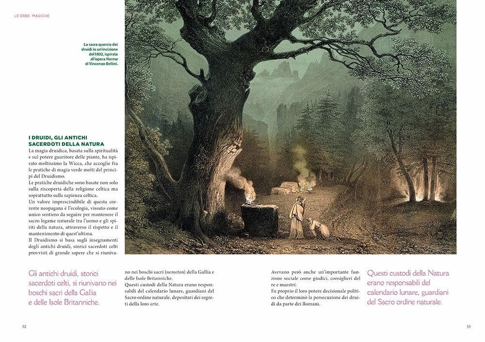 L'erbario della wicca. Piante magiche, incantesimi e rituali