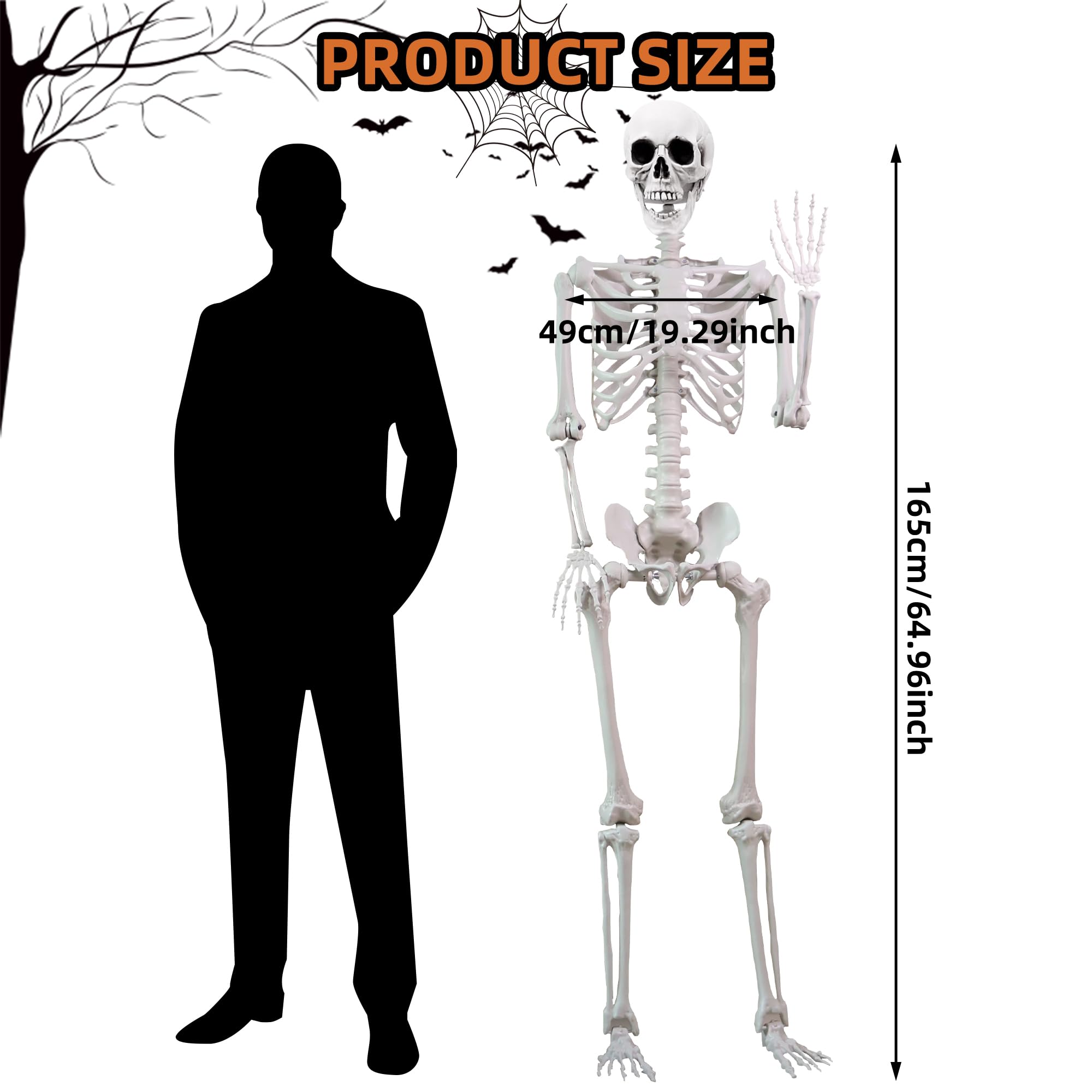 Scheletro snodato per Halloween, 170 cm, realistico, a grandezza naturale, ossa di scheletro umano con articolazioni mobili, decorazione per Halloween e casa infestata, scheletro a corpo intero