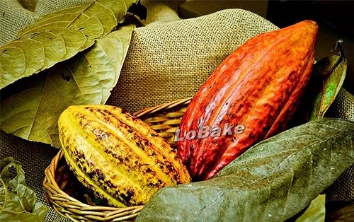 Miniatura 7 de 12 cavidades de oliva coco fruta limón forma silicona pastel molde jabón moldes chocolate fondant pudín jalea DIY artilugios de panadería