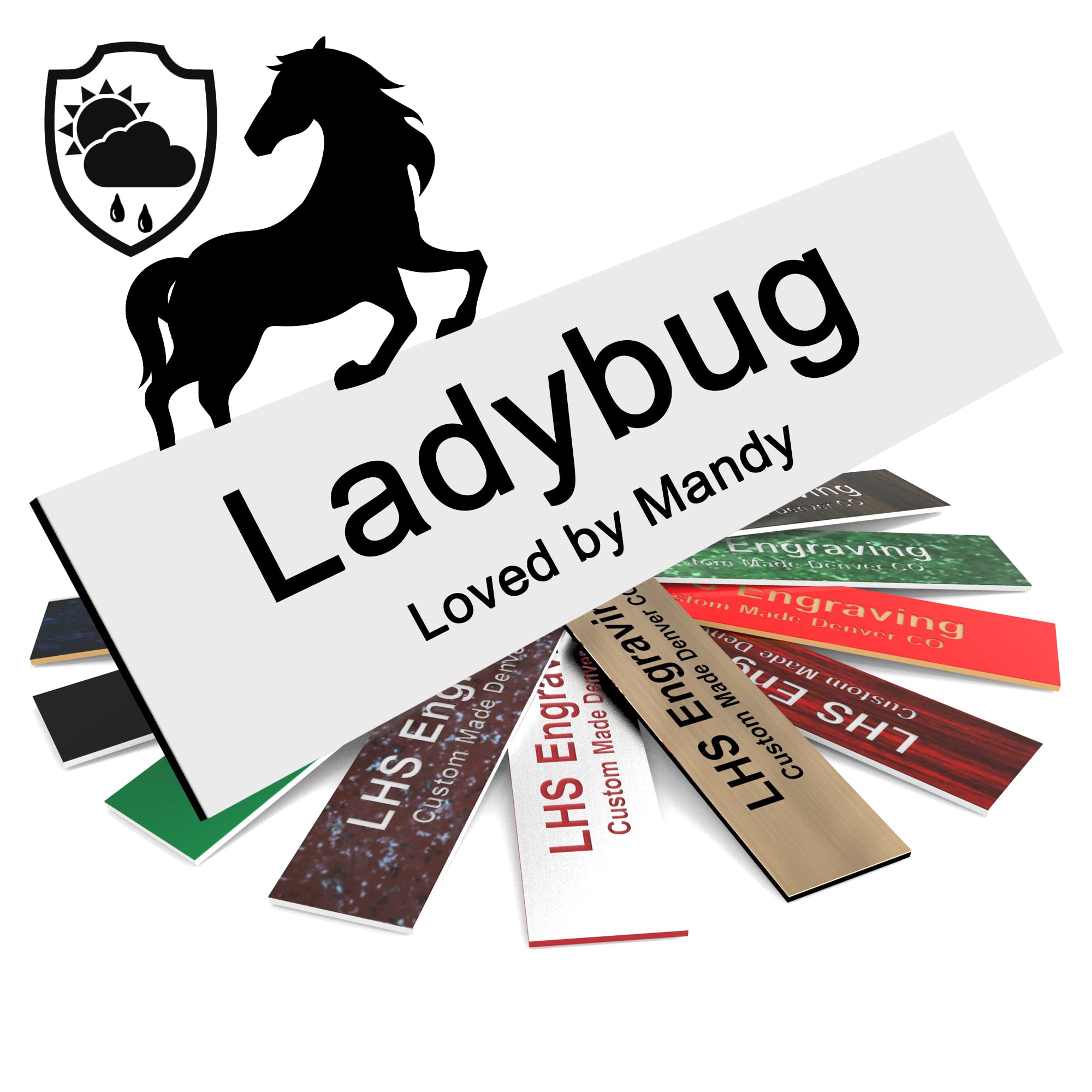 Personalized Horse Stall Name Plates, 2x12 Horse Stall Signs with Adhesive, All Weather UV Protected, White Plastic Black Letters - Made in USA - B16