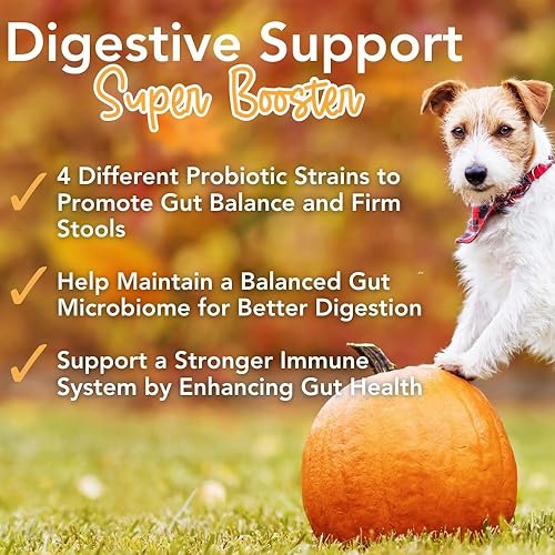 Miniatura 3 de iHeartDogs Pupkin Probióticos, prebióticos y postbióticos para perros con calabaza, caldo de huesos calmante intestinal y hongos - 30 cucharadas