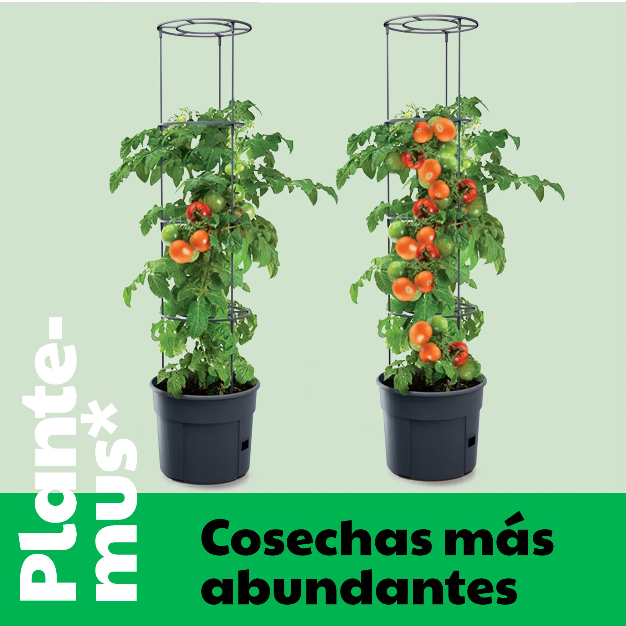 PLANTEMUS Abono Huerto para Tomates, Pimientos, Fresas, Hortalizas, Verduras. Fertilizante Granulado Azul para Cosechas Abundantes (Huerto BiOrganic 1L)