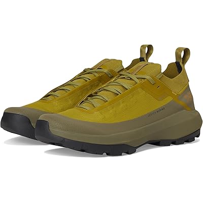 Мужские кроссовки Arcteryx Vertex Alpine GTX