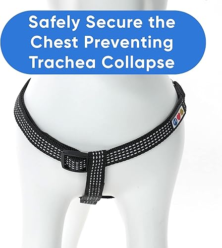 Miniatura 7 de Pawtitas Arnés Reflectante Step-in para Perro  Chaleco Ajustable Anti-tirones para Cachorros a Adultos Mayores, Seguro y Cómodo, M Negro