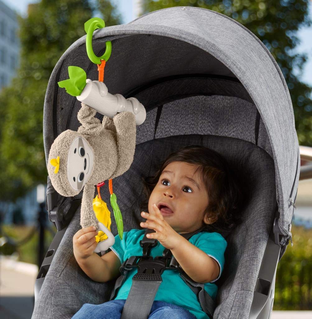 Fisher-Price GHL39 mały leniwiec zabawkowy, wielokolorowy