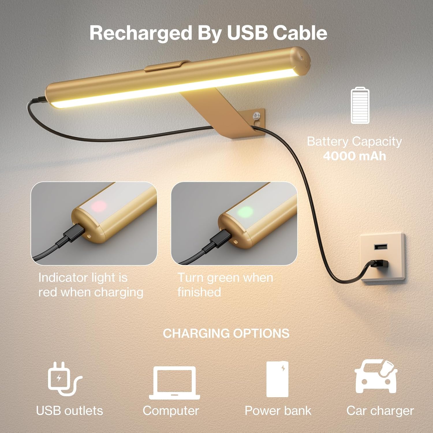 Olafus Luz de imagen inalámbrica recargable con pilas, lámpara de pintura con control remoto con tubo extraíble, infinitamente regulable,