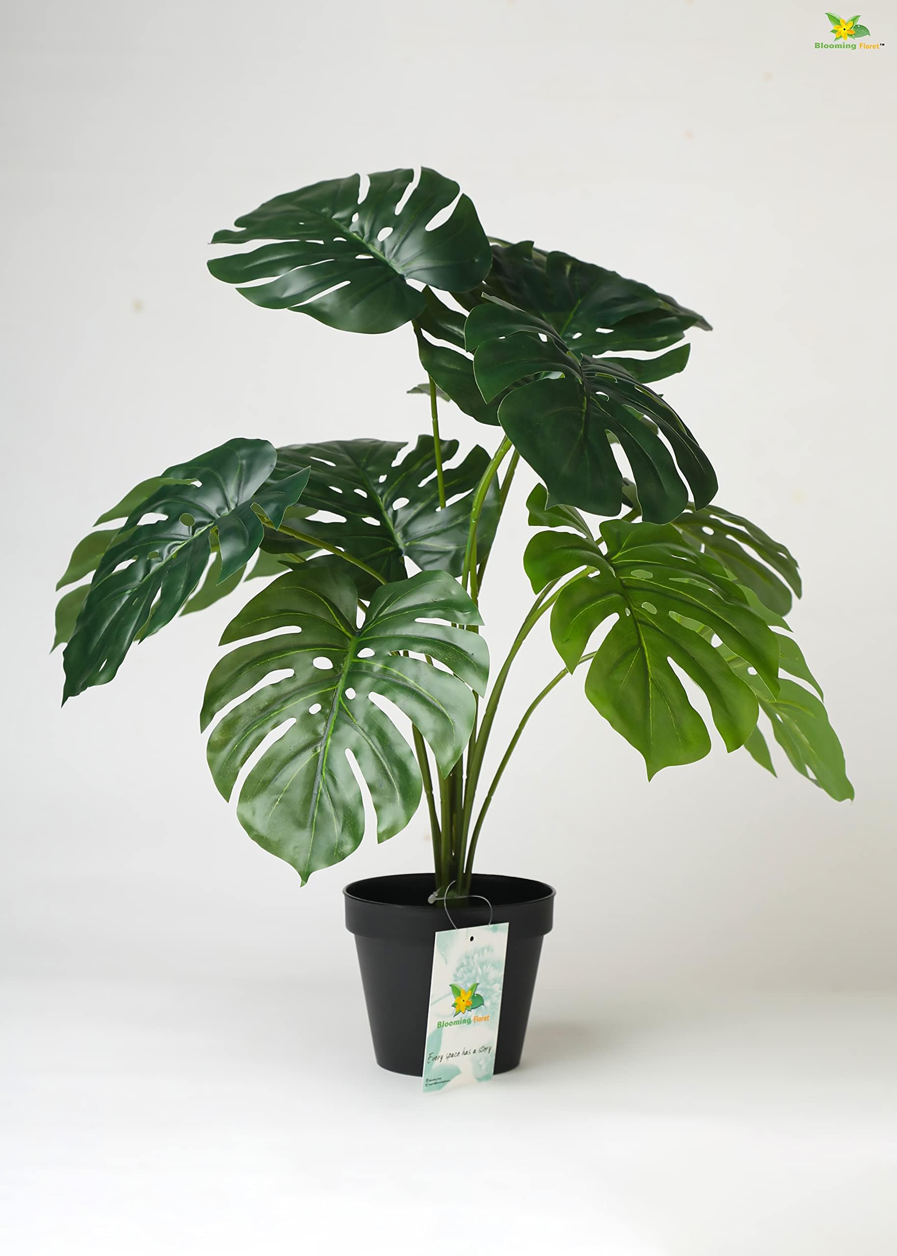 Blooming Floret Artificial Monstera Plant with Basic Black Pot | 12 Green Leaves | Ornamental Plant for Interior Decor/Home Decor/Office Decor | 50.8 cm Short Natural Looking