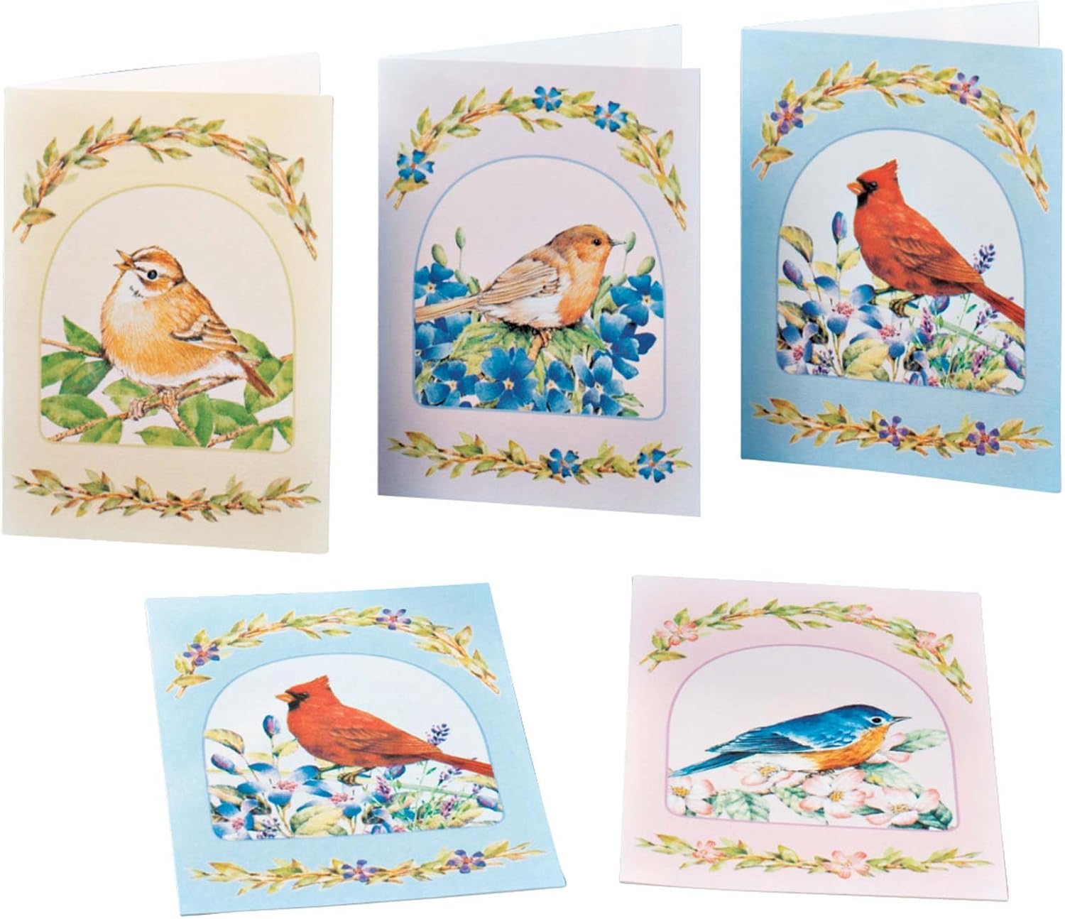 Miles Kimball Song Bird Greeting Cards Set of 24 Office
