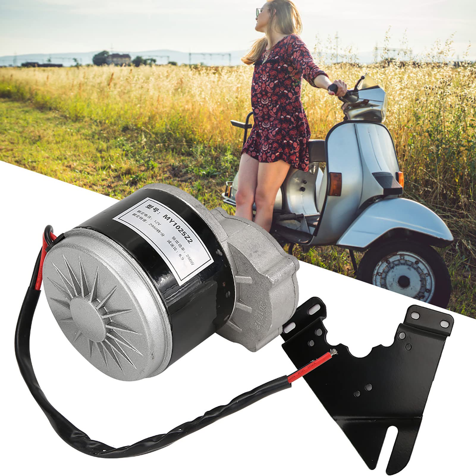 AMONIDA Silnik Elektryczny z redukcją BiegóW 12 V, Wysoki Moment Obrotowy, Silnik Prądu Stałego 250 W do Skutera Elektrycznego, Aluminium 1 Zestaw
