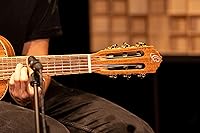 Vista 14 de Mini/Travel Series Guitarlele acústico-eléctrico con bolsa