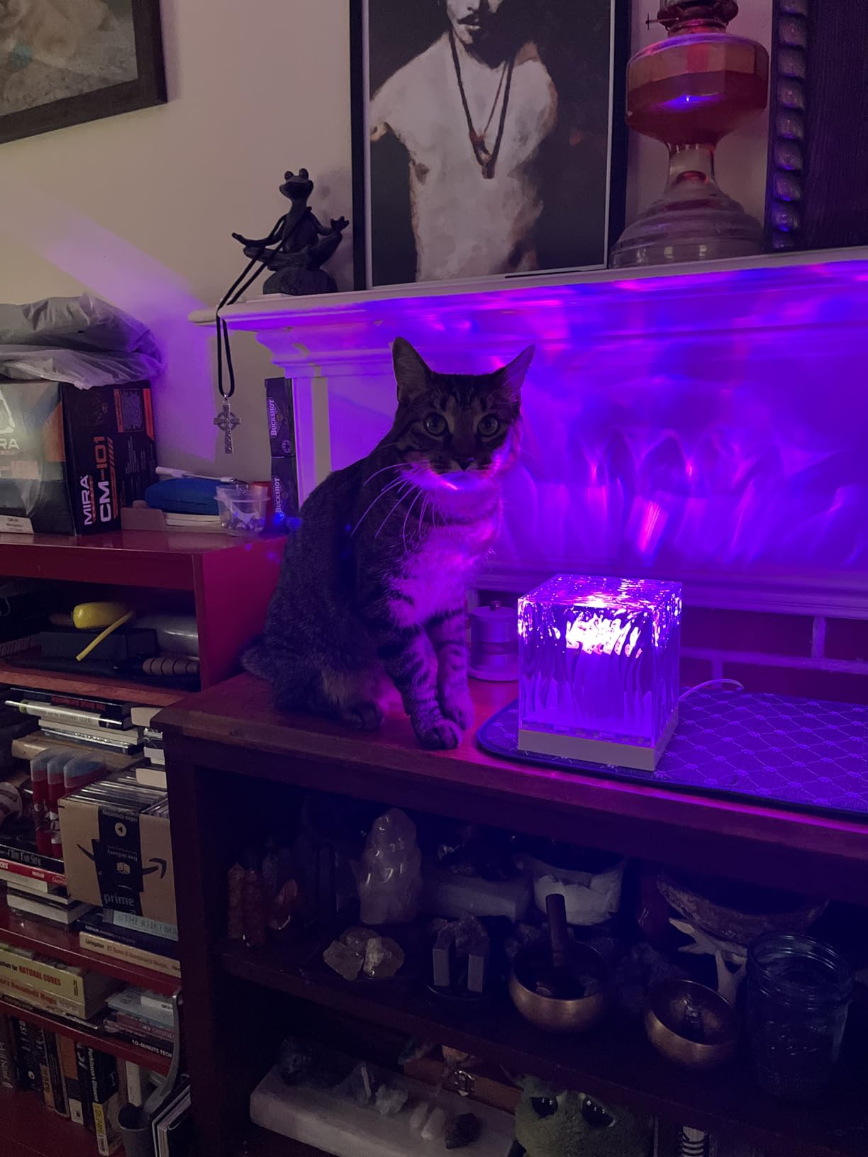 Changes the ambiance of a room dramatically