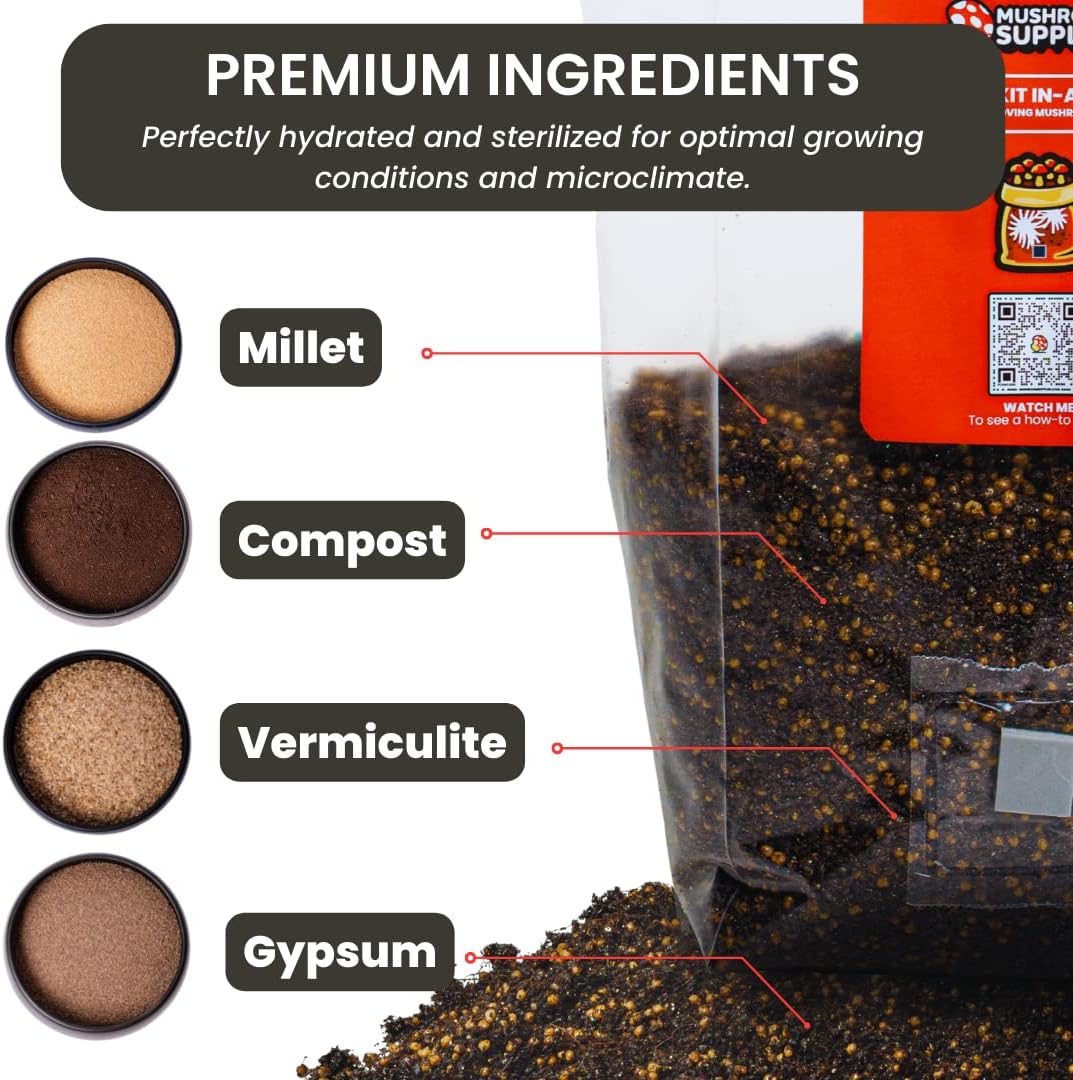 Mushroom Grow Kit - Image 8
