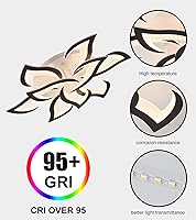 Vista 7 de Lámpara de techo moderna con flor LED en negro, accesorios de iluminación de techo montados con control remoto para sala de estar, dormitorio