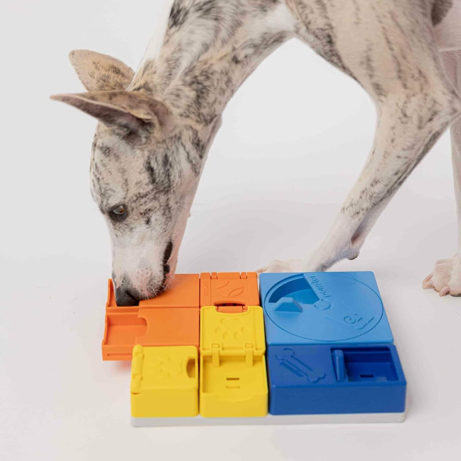 Rainbow Set Pawzler - Modular Dog Puzzle | Pawzler Interactive Dog Treat Puzzles for Canine Enrichment