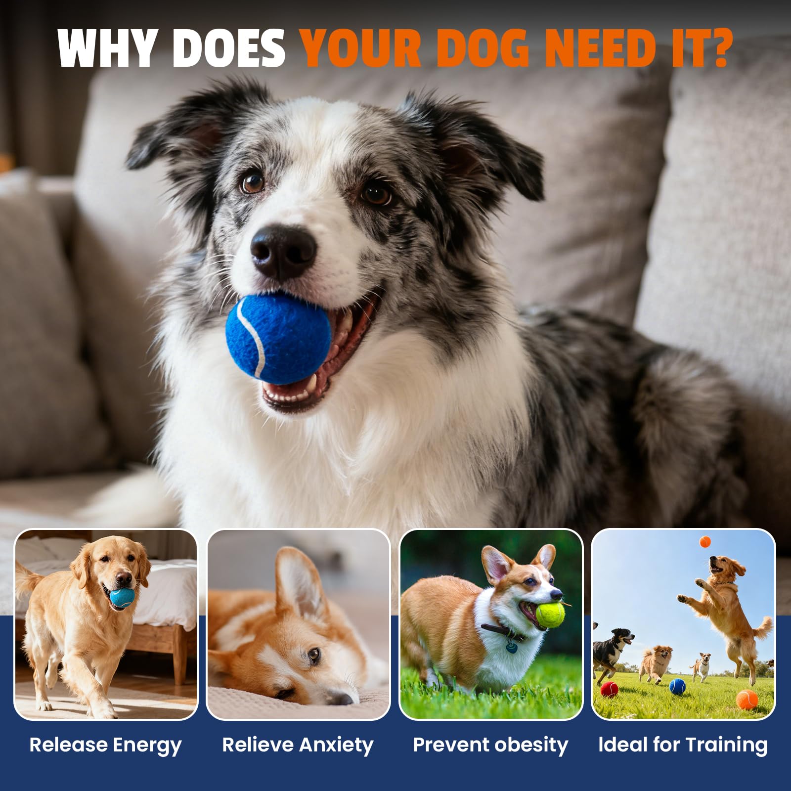 FURWEY Lot de 80 balles de tennis pour chiens, 6,3 cm, durables et non toxiques avec sac en maille, balles colorées pour animaux de compagnie (non couineur)
