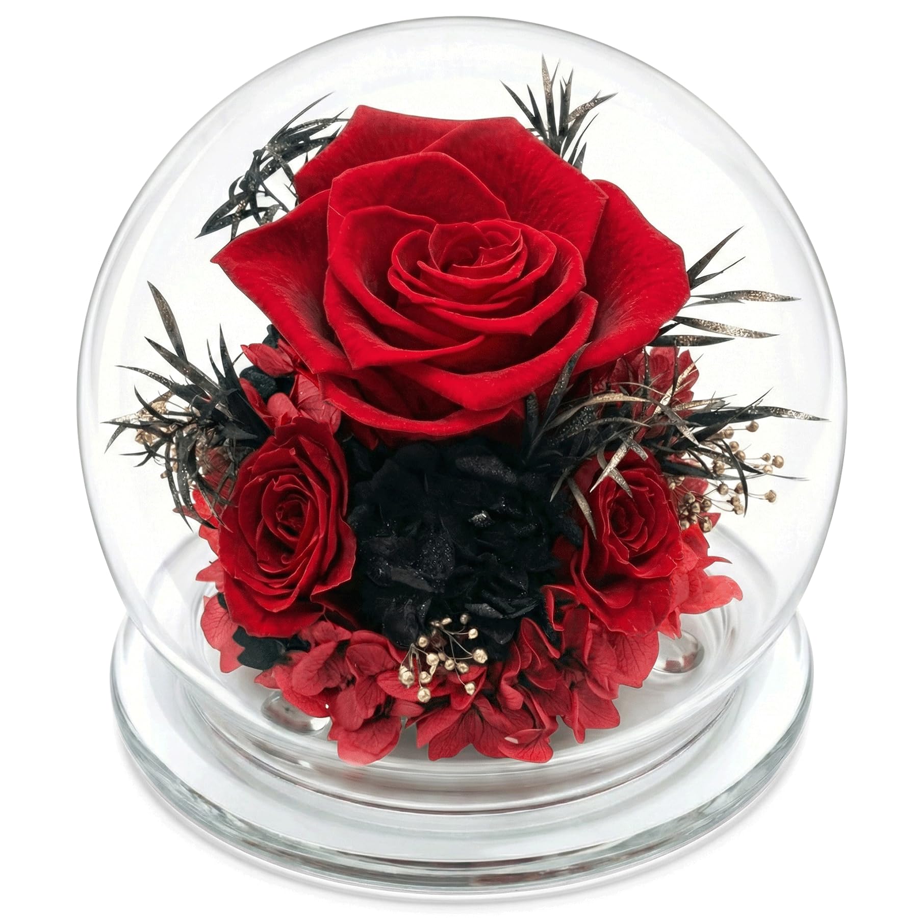 Mothers Day Birthday Gifts for Her Women Preserved Rose Forever Flower in Glass Dome Fresh Flowers Prime Valentines Day Anniversary Rose for Girlfriend Wife Sister Grandma (red)