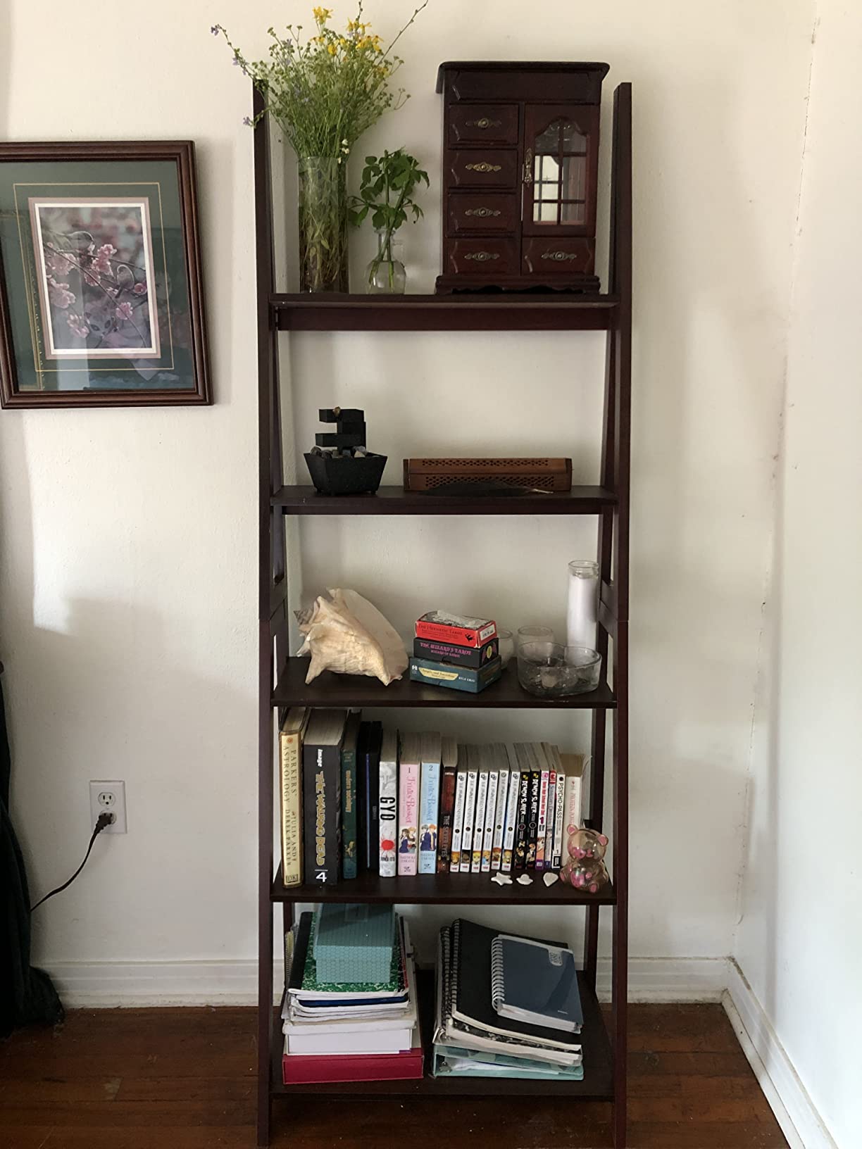 11/mo Finance Amazon Basics Modern 5Tier Ladder Bookshelf Organizer