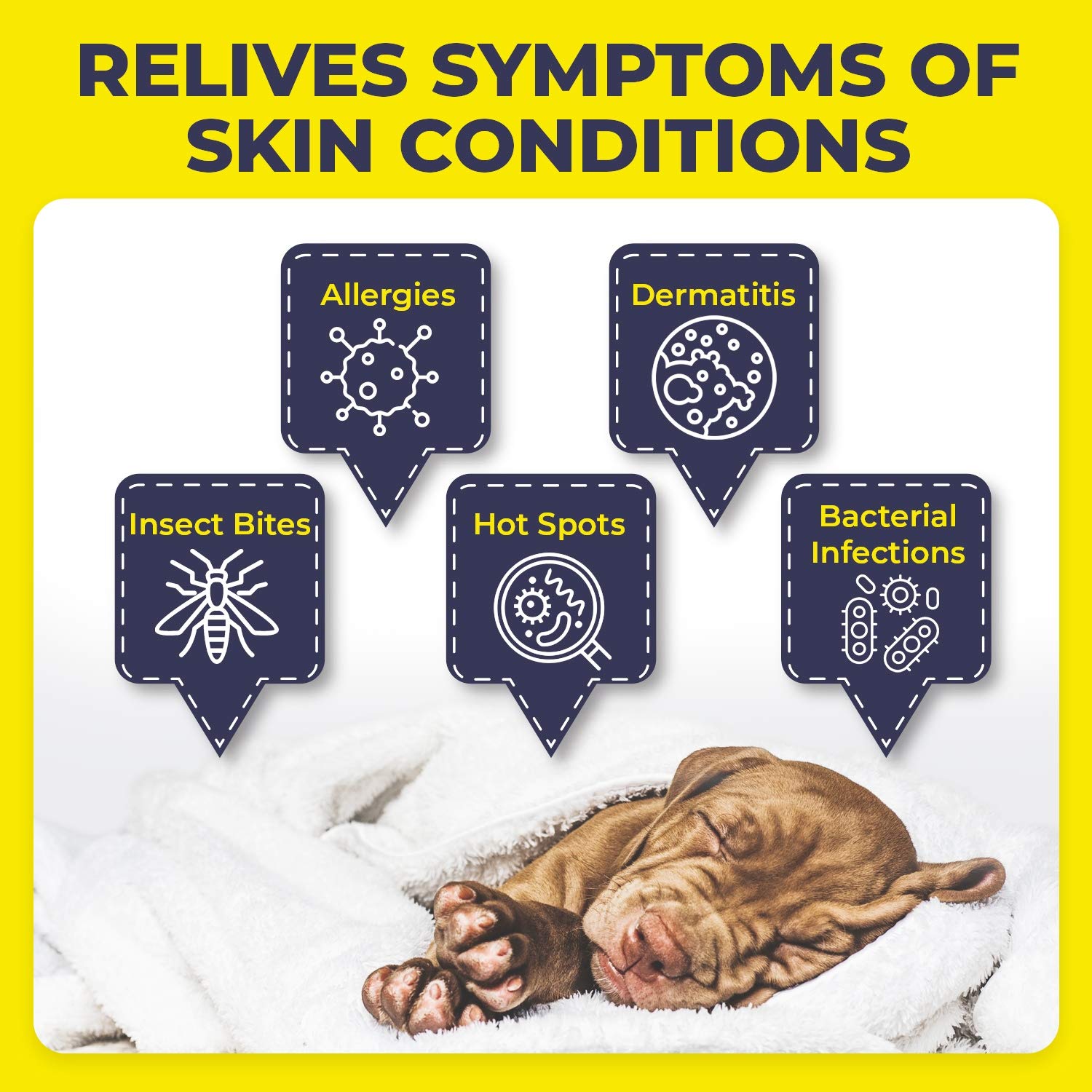 Buy Pet Health Pharma Truseb Hydrocortisone Spray for Dogs, Cats