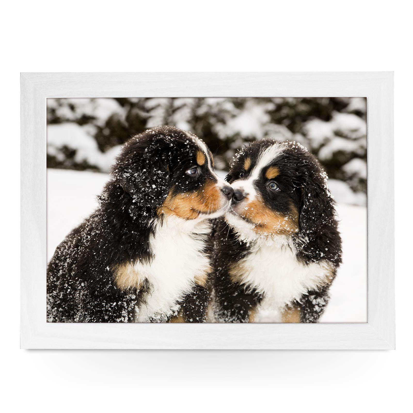 yoosh Portable Lap Desk Tray (Bernese Puppies In The Snow) Handmade Wooden Frame, Beanbag Cushioned Bottom | Computers, Laptops, Meals, Food | L0160 White
