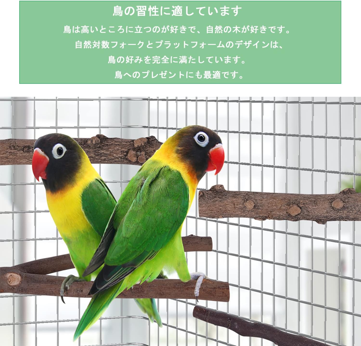 Amazon 4点セット インコ 鳥 止まり木 とまり木 おもちゃ天然木花椒木 爪を研ぎ Cm I型 Y型 爪を磨 鳥休み場所 鳥おもちゃ 噛むおもちゃ ストレス解消 通用 おもちゃ 通販