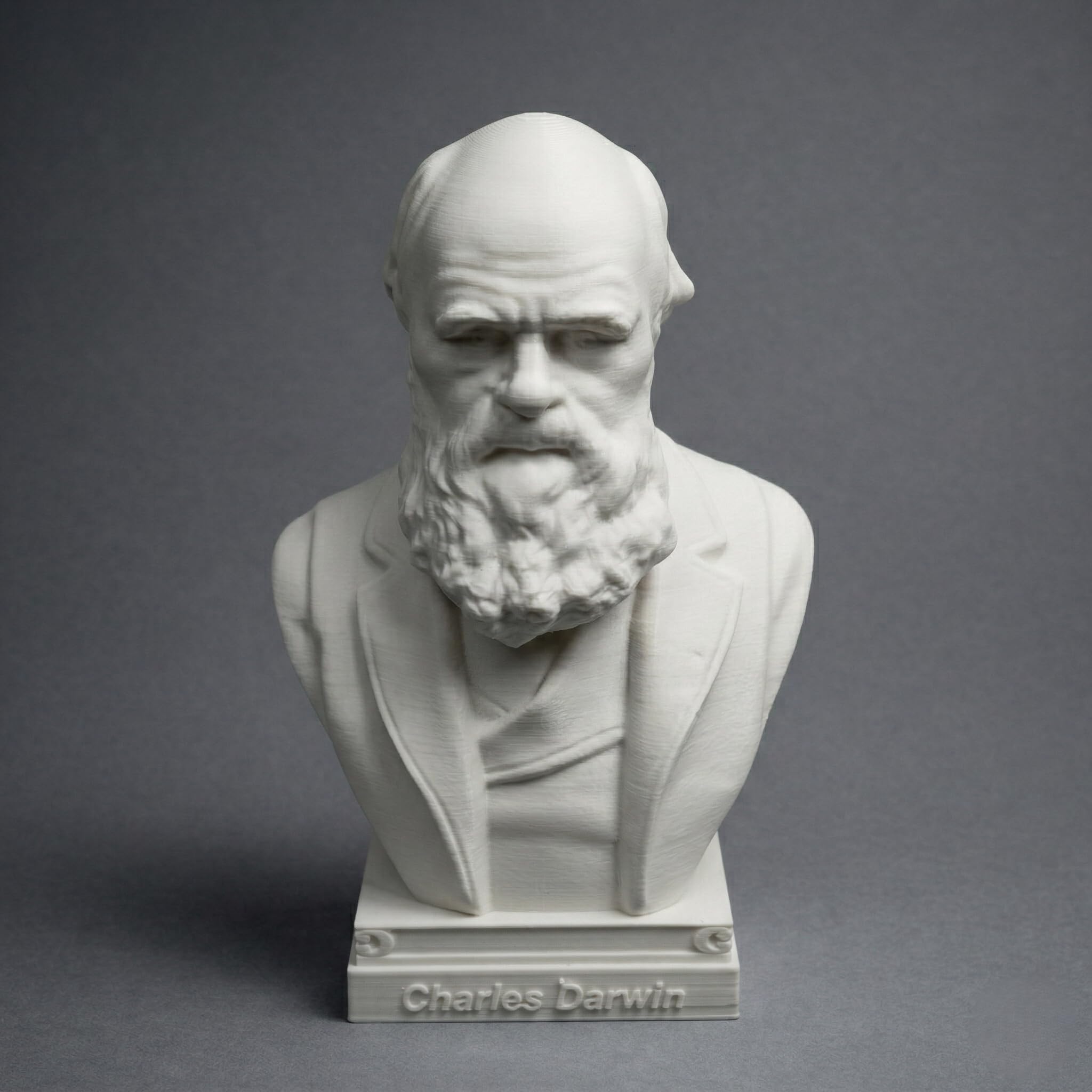 Charles Darwin Gregor Mendel Louis Pasteur Mendeleev Fleming Bust Head Sculpture Statue Decoration Collectible Figurine Desk Table Top (Charles Darwin, 6" Hx4 Wx3 D)