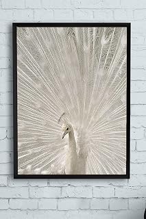 Postermanya (pster13512) Tavus Kuşu Hayvan Çerçeveli Tablo (40x50cm)