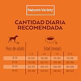 Ver la foto 4