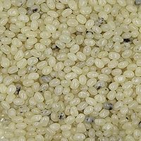 Vista 25 de Smarty Stop Jelly Beans - Caramelos de todos los sabores (Mango, 2 libras (paquete de 1))