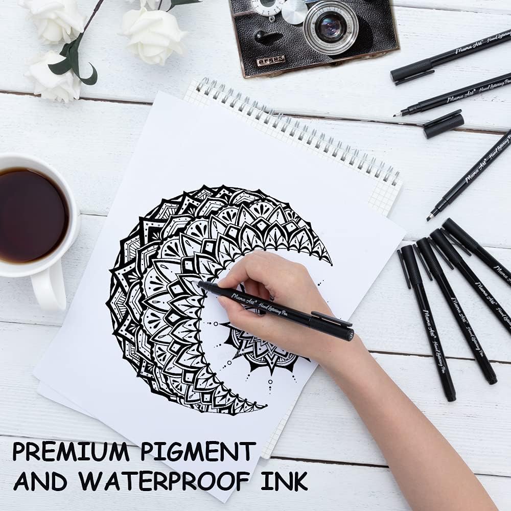 Calligraphy Brush Pens, Hand Lettering Pens, 12 Size Soft and Hard Tip Marker Pens for Artist Sketch, Technical, Beginners Writing and Drawing : Arts, Crafts & Sewing