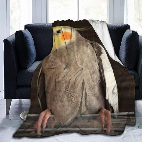 Amazon たっての熱パーソナライズされたカスタムスローブランケット オカメインコ ワイヤーバードケージ ソファベッドルームトラベルふわふわブランケット50 X60 用の柔らかく快適なぬいぐるみブランケット Multi02 40 X50 ブランケット 毛布 オンライン通販