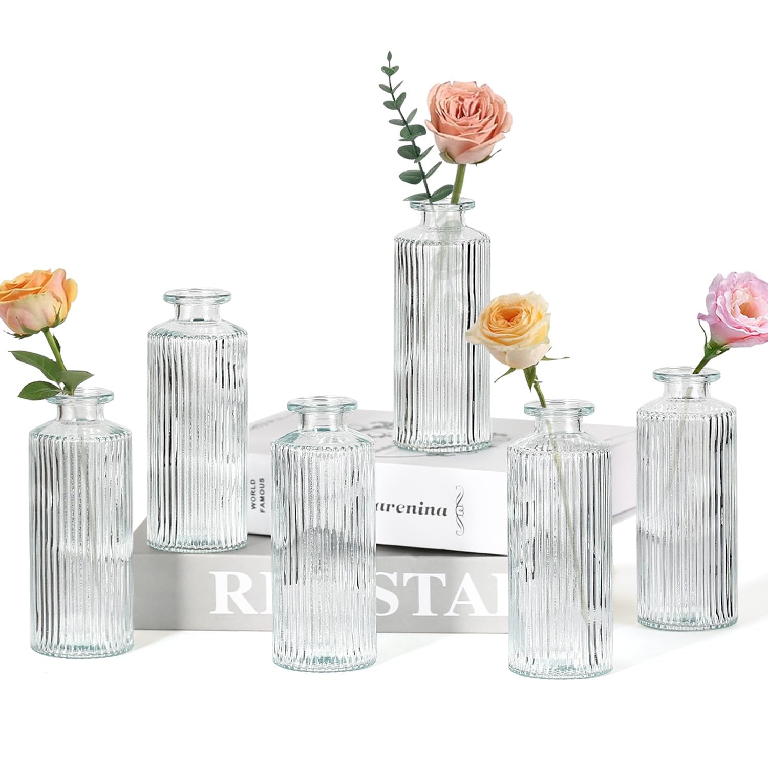 Sawoake Small Vases, Pack of 6 Glass Vases for Table Decoration, Mini Vases, Glass Bottles for Home, Weddings, Birthdays, Festivals (Transparent Vertical)