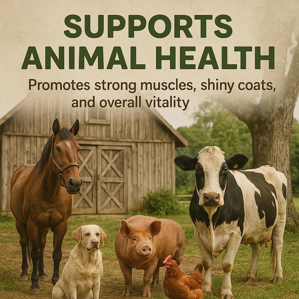 GiDeli Hanfsamen 25kg ungeschält - Vogelfutter ganzjährig Proteinreich - Energiereich Einzelfuttermittel - für Wildvögel, Pferd, Rinder, Schweine, Geflügel