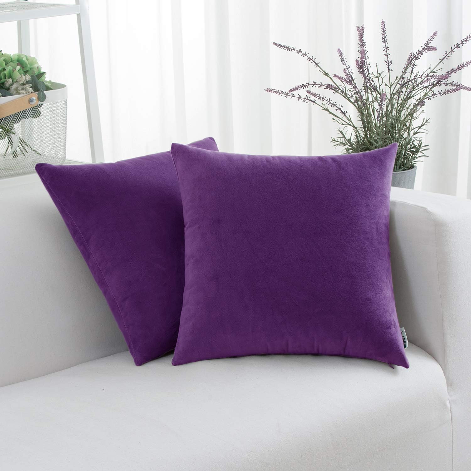HWY 50 Purple Throw Pillows Covers Set 22x22 Inch for Couch Sofa Bed Living Room, Velvet Soft Cozy Solid Decorative Square Throw Pillow Cases Cushion Cover Pack of 2