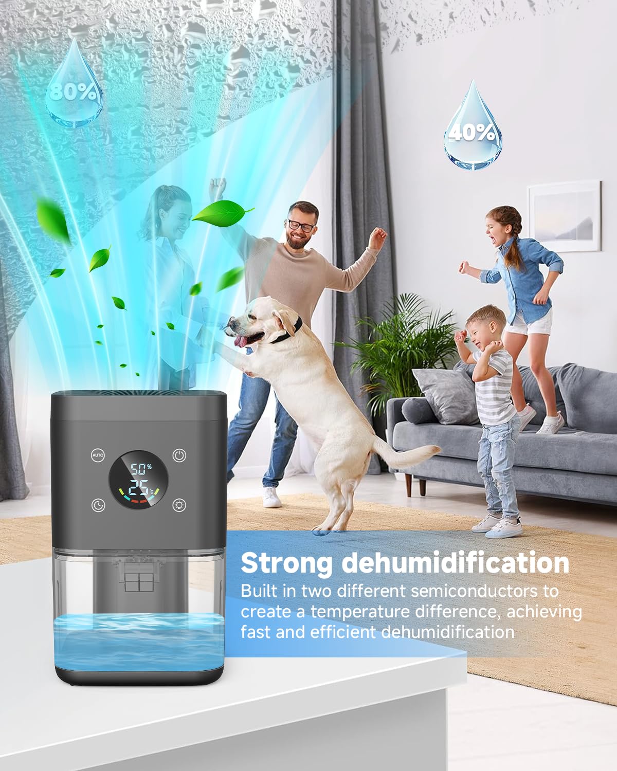 Deumidificatore 1800ML, Deumidificatore Casa Muffa, Desumidificatore silenzioso con timer, filtro e disiumidificazione intelligente, purificatore dell'aria-Nero