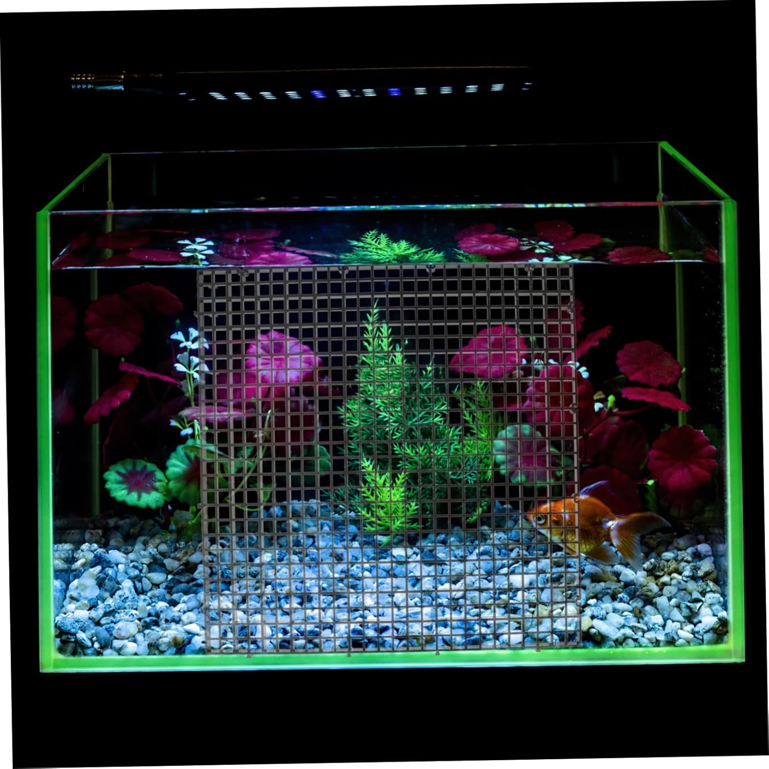 1Set Aquarium Bottom Plates Fish Tank Isolation Divider with Suction Cups for Breeding Separation