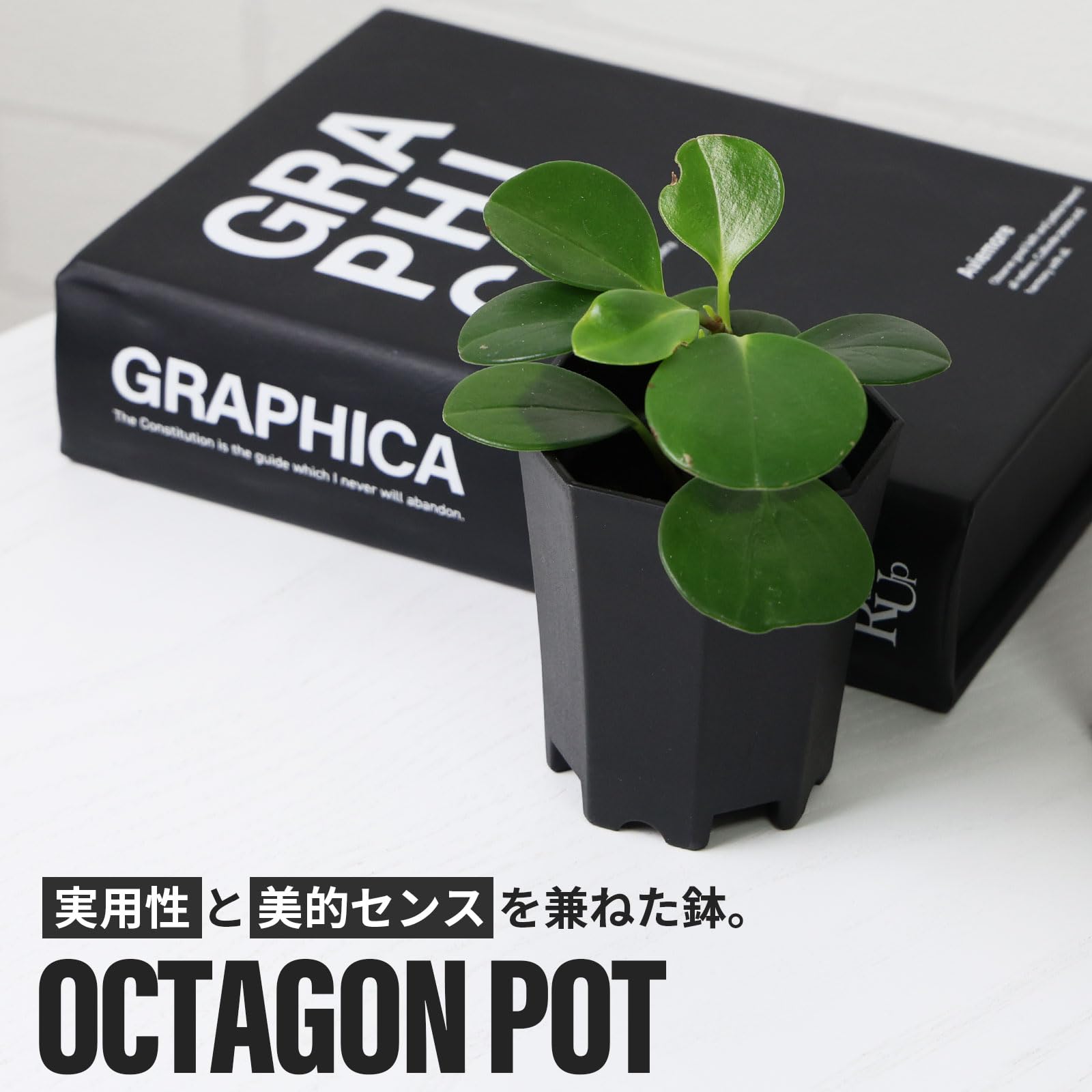 Amazon.co.jp: 植木鉢 2号 15個セット ブラック｜八角鉢 多肉植物