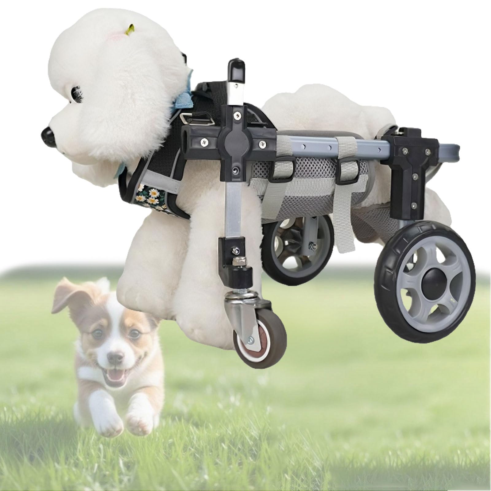 Fauteuil roulant pour chien handicapé avec support de hanche réglable