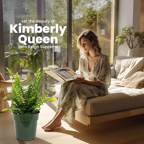 Vista 11 de American Plant Exchange Planta de helecho cola de zorro viva, maceta para decoración del hogar y jardín, maceta de 10 pulgadas