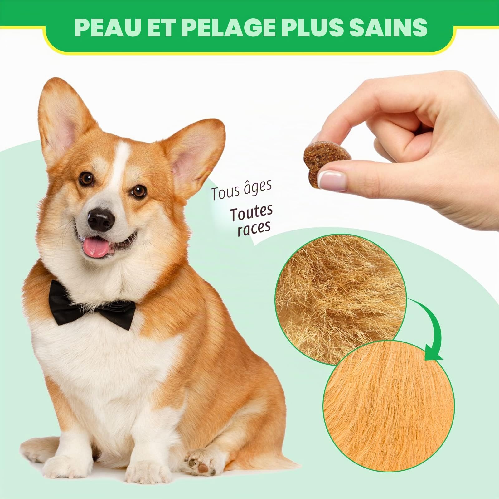 Probiotiques Chien, Favorise la santé de l'intestin, la diarrhée, la santé Digestive et Les Allergies saisonnières - Saveur de Canard - 120 mastications Souples
